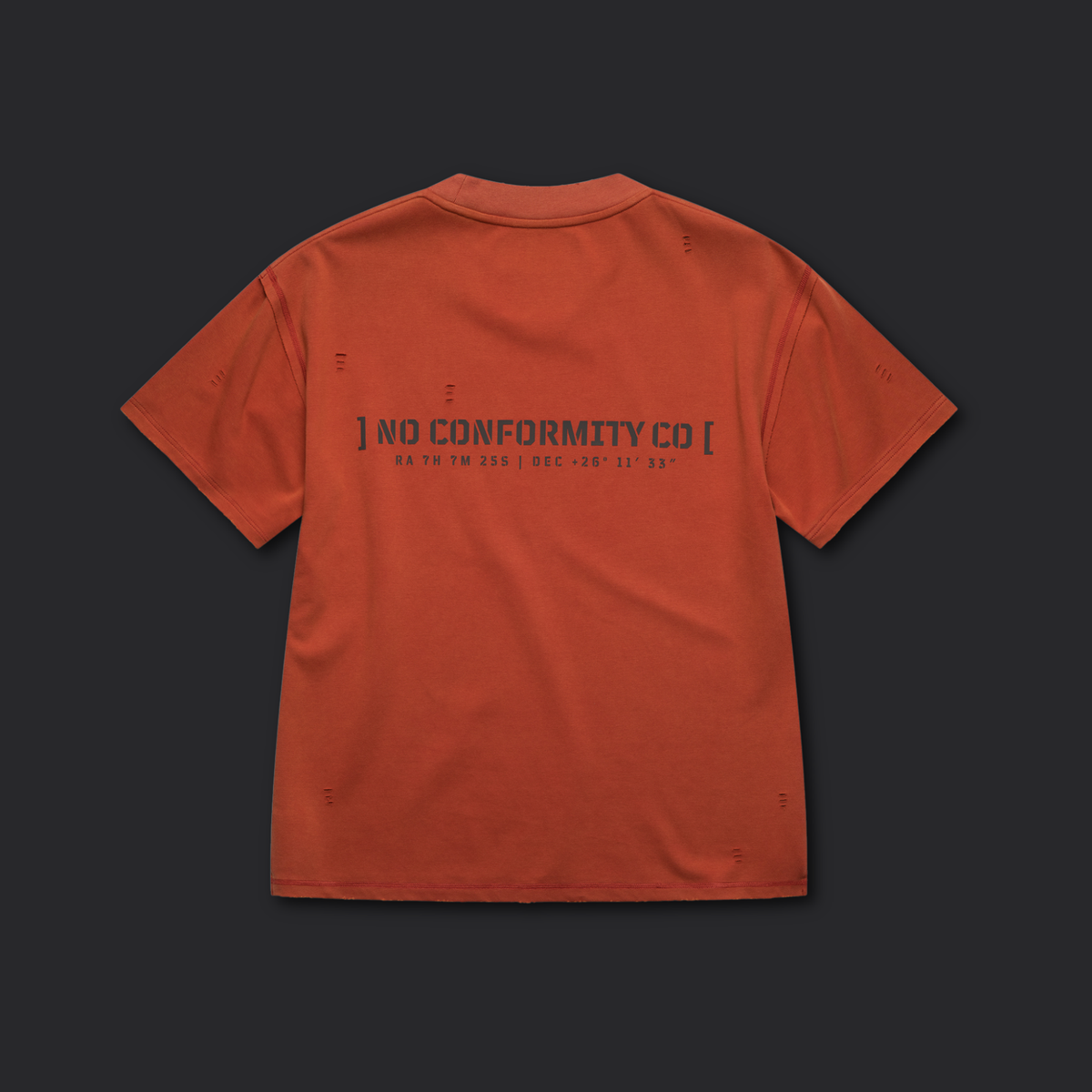 ICON_TEE / CLAY